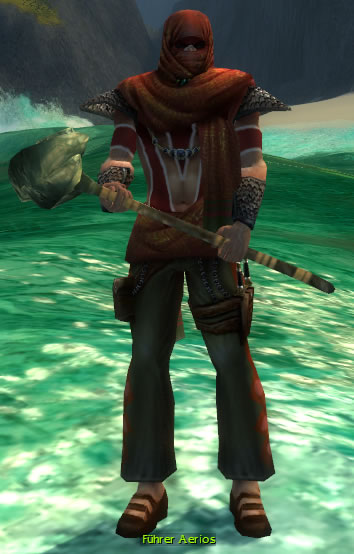 Datei:Führer Aerios.jpg