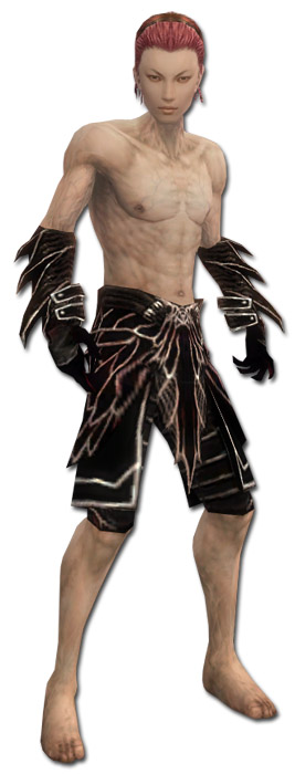 Nekromant Elite-Luxon-Rüstung Männlich hand bein vorne.jpg