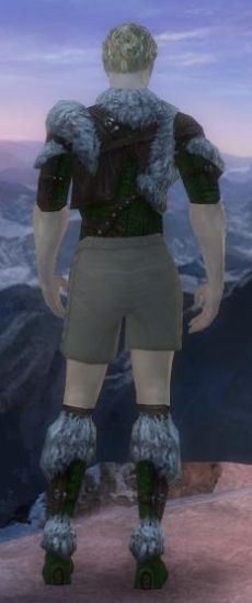 Waldläufer Elite-Pelzverbrämte-Rüstung Männlich brust schuh hinten.jpg