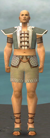 Mönch Kryta-Rüstung Männlich brust schuh vorne.jpg