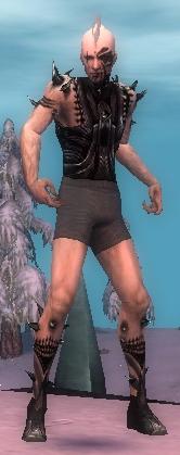 Nekromant Obsidian-Rüstung Männlich brust schuh vorne.jpg