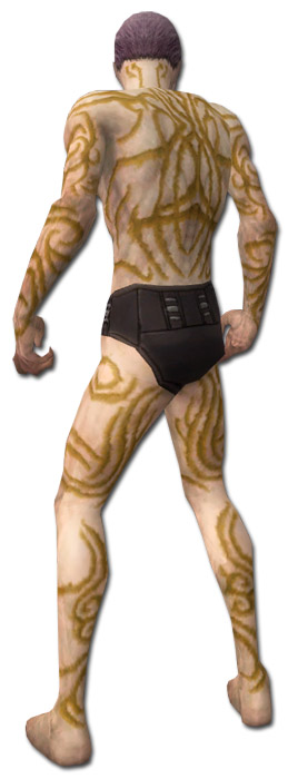 Nekromant Narbenmuster-Rüstung Männlich hinten.jpg