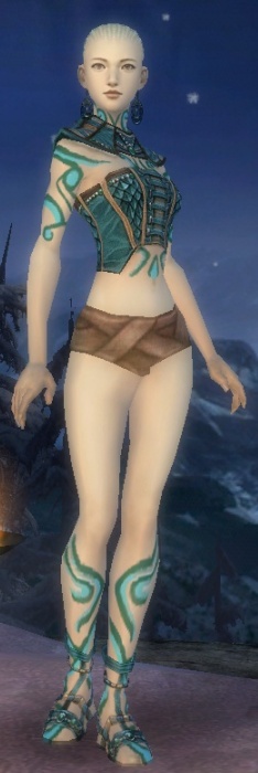 Mönch Elite-Luxon-Rüstung Weiblich brust schuh vorne.jpg