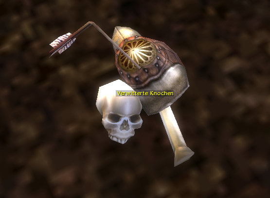Datei:Verwitterte Knochen2.jpg