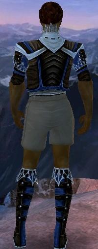 Waldläufer Kurzick-Rüstung Männlich brust schuh hinten.jpg