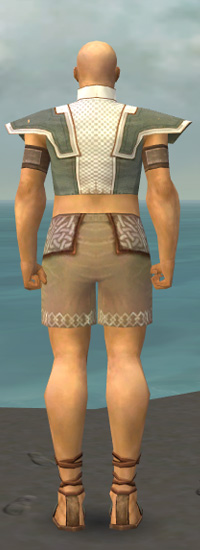 Mönch Kryta-Rüstung Männlich brust schuh hinten.jpg