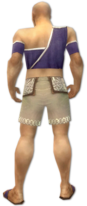 Mönch Ascalon-Rüstung Männlich brust schuh hinten.jpg