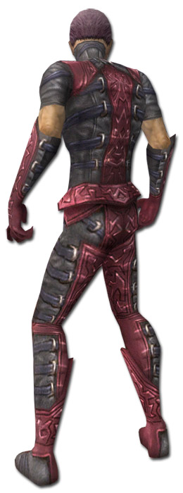Nekromant Ascalon-Rüstung Männlich hinten.jpg