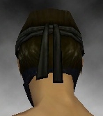 Datei:Assassine Obsidian-Rüstung Männlich kopf hinten.jpg