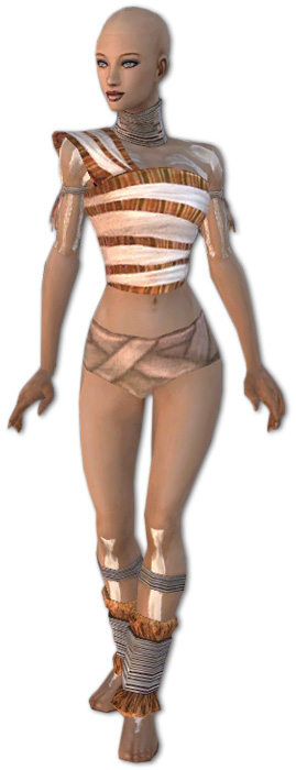 Mönch Istan-Rüstung Weiblich brust schuh vorne.jpg