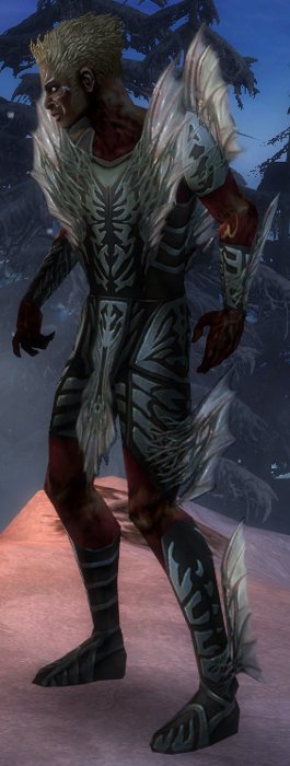 Nekromant Altehrwürdige Rüstung Männlich seite.jpg