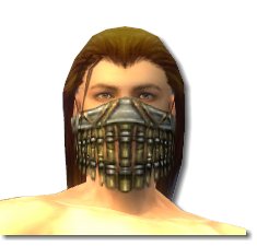 Waldläufer Elite-Luxon-Rüstung Männlich kopf vorne.jpg