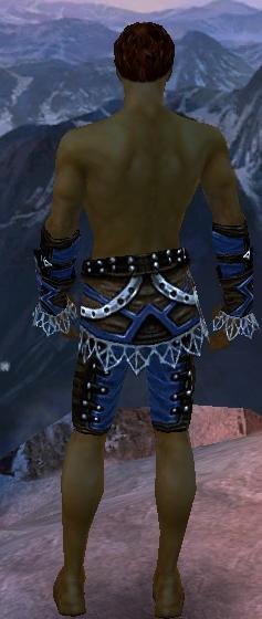 Waldläufer Kurzick-Rüstung Männlich hand bein hinten.jpg