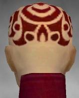 Mönch Elite-Kurzick-Rüstung Weiblich kopf hinten.jpg