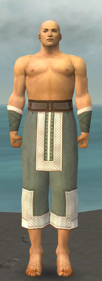 Mönch Kryta-Rüstung Männlich hand bein vorne.jpg