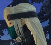 Datei:Assassine Kurzick-Rüstung Weiblich kopf hinten.jpg