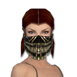 Waldläufer Elite-Luxon-Rüstung Weiblich kopf vorne.jpg