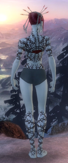 Nekromant Elite-Narbenmuster-Rüstung Weiblich brust schuh hinten.jpg