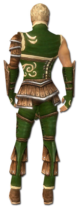 Waldläufer Shing Jea-Rüstung Männlich hinten.jpg