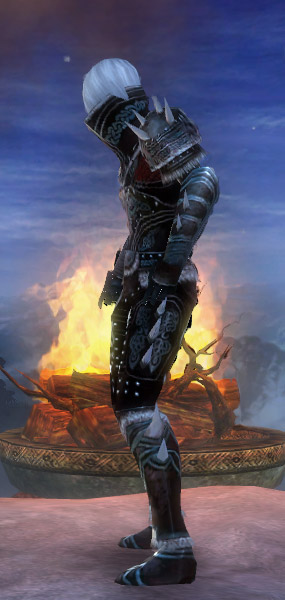 Nekromant Norn-Rüstung Männlich seite.jpg