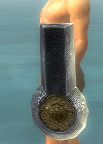 Schild der Reinheit.jpg