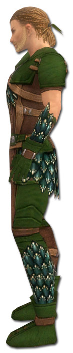 Waldläufer Lindwurmschuppen-Rüstung Männlich seite.jpg
