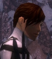 Hochländer-Färberwaid Männlich seite.jpg