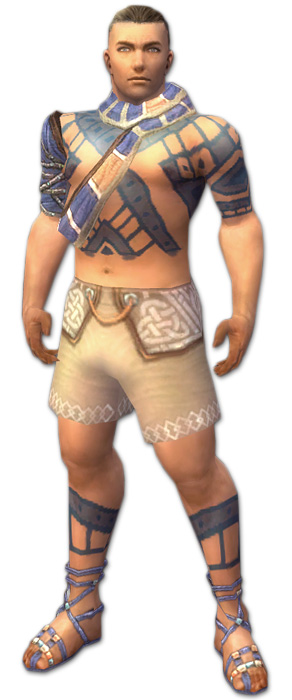 Mönch Luxon-Rüstung Männlich brust schuh vorne.jpg