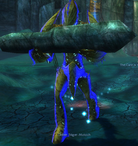 Datei:Gelber Träger-Moloch.jpg