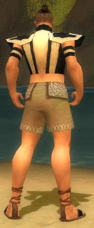 Mönch Elite-Heiligen-Rüstung Männlich brust schuh hinten.jpg