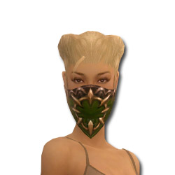 Waldläufer Sonnenspeer-Rüstung Weiblich kopf vorne.jpg