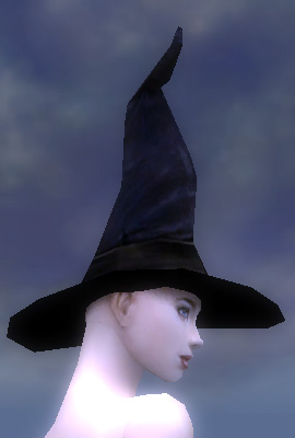 Schlimmer Hut weiblich seite.jpg