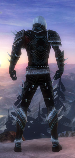 Nekromant Norn-Rüstung Männlich hinten.jpg