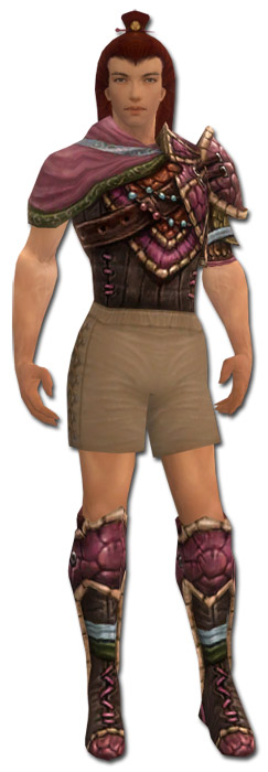 Waldläufer Luxon-Rüstung Männlich brust schuh vorne.jpg