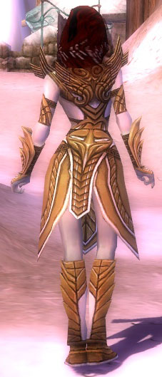 Hayda Deldrimor-Rüstung hinten.jpg