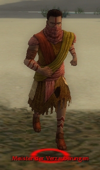 Datei:Meister der Verzauberungen.jpg