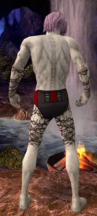 Nekromant Elite-Narbenmuster-Rüstung Männlich hand bein hinten.jpg