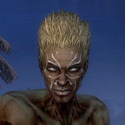 Nekromant Altehrwürdige Rüstung Männlich kopf vorne.jpg