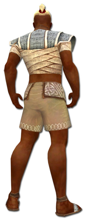 Mönch Geflochtene-Rüstung Männlich brust schuh hinten.jpg
