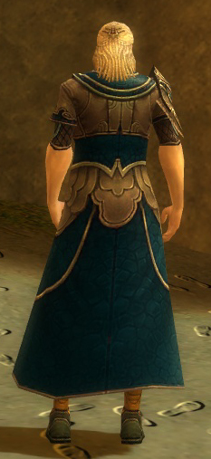 Waldläufer Deldrimor-Rüstung Männlich hinten.jpg