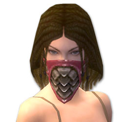 Waldläufer Elite-Cantha-Rüstung Weiblich kopf vorne.jpg