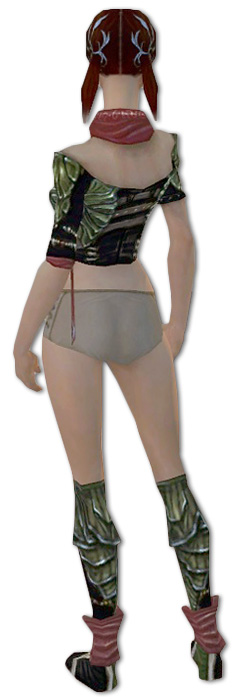 Waldläufer Elite-Luxon-Rüstung Weiblich brust schuh hinten.jpg