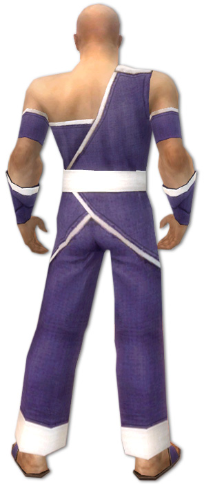 Mönch Ascalon-Rüstung Männlich hinten.jpg