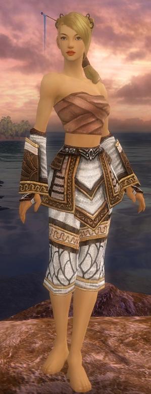 Mönch Elite-Cantha-Rüstung Weiblich hand bein vorne.jpg