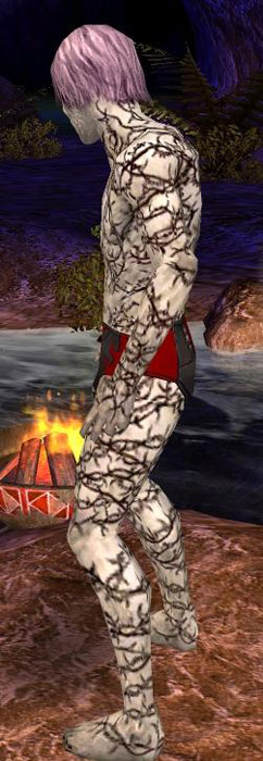 Nekromant Elite-Narbenmuster-Rüstung Männlich seite.jpg