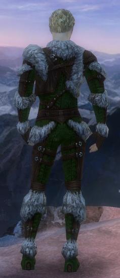 Waldläufer Elite-Pelzverbrämte-Rüstung Männlich hinten.jpg