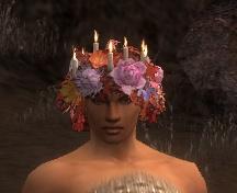 Kranzkrone Männlich vorne.jpg