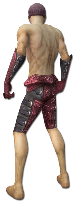 Nekromant Ascalon-Rüstung Männlich hand bein hinten.jpg