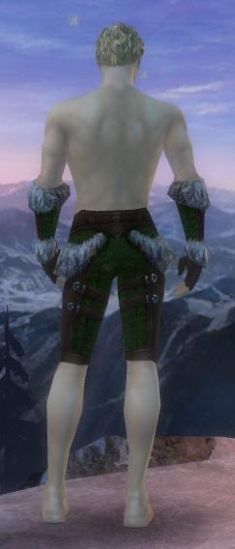 Waldläufer Elite-Pelzverbrämte-Rüstung Männlich hand bein hinten.jpg