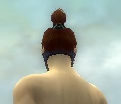 Datei:Assassine Norn-Rüstung Männlich kopf hinten.jpg